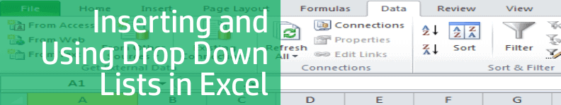 Inserting and Using Drop Down Lists in Excel